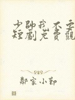 少帅我不要你了短剧免费观看