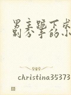 男主跪下求女主别分手的小说