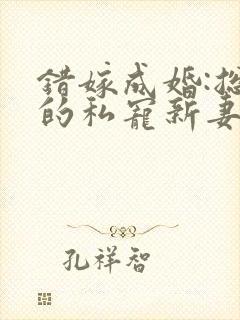 错嫁成婚:总裁的私宠新妻