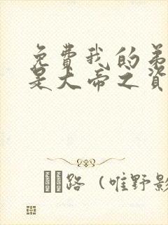 免费我的弟子全是大帝之资