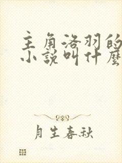 主角洛羽的玄幻小说叫什么名