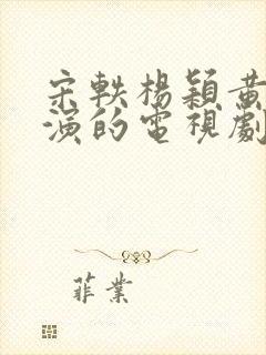 宋轶杨颖黄轩主演的电视剧