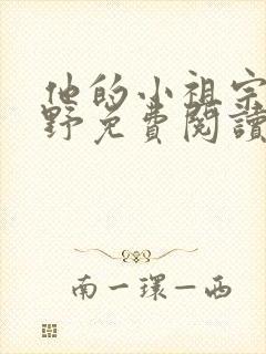 他的小祖宗甜又野免费阅读txt