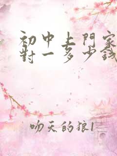 初中上门家教一对一多少钱