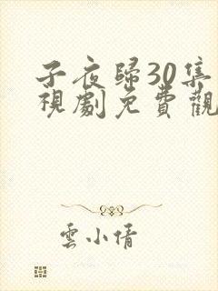 子夜归30集电视剧免费观看全集高清