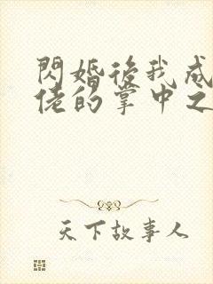 闪婚后我成了大佬的掌中之物万妮