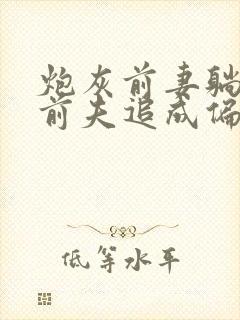 炮灰前妻躺平后前夫追成偏执狂全文免费阅读