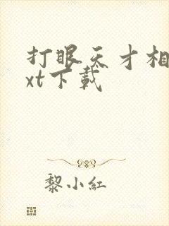 打眼天才相师txt下载