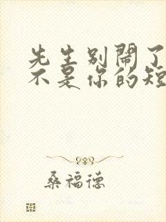 先生别闹了新娘不是你的短剧免费看