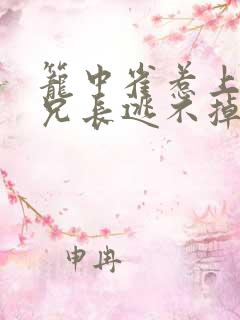 笼中雀惹上偏执兄长逃不掉小说免费阅读