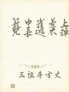 笼中雀惹上偏执兄长逃不掉短剧