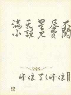 满天星辰不及你小说免费阅读