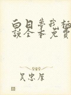 白日梦我栖见小说全本免费阅读