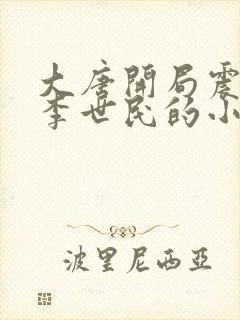 大唐开局震惊了李世民的小说