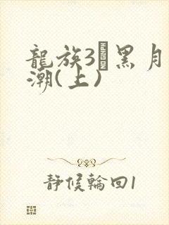 龙族3·黑月之潮(上)