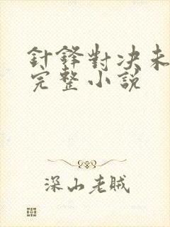 针锋对决未删减完整小说