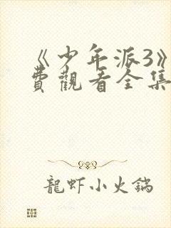 《少年派3》免费观看全集完整版在线