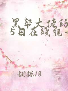 黑帮大佬的365日在线观看