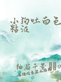 小狗吐白色泡沫粘液