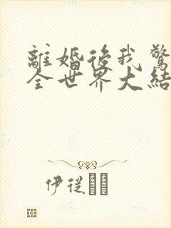 离婚后我惊艳了全世界大结局