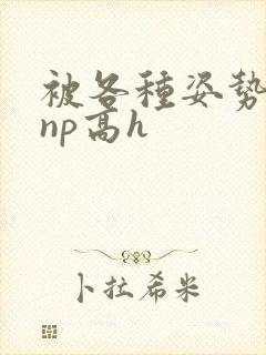 被各种姿势玩弄np高h