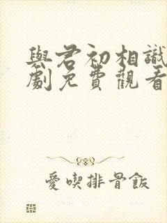 与君初相识电视剧免费观看高清版