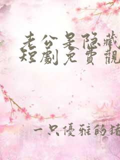 老公是隐藏大佬短剧免费观看