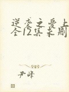 逆袭之爱上情敌全12集未删减