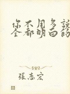 你不用多说,我全都明白的