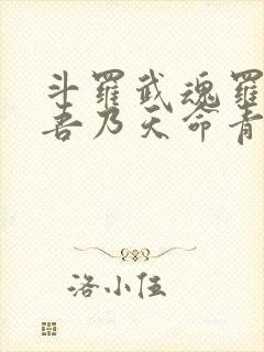 斗罗武魂罗三炮吾乃天命青龙免费阅读