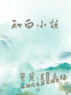 知白小说