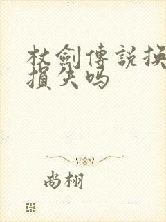 杖剑传说换职业损失吗