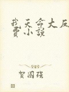 我天命大反派免费小说