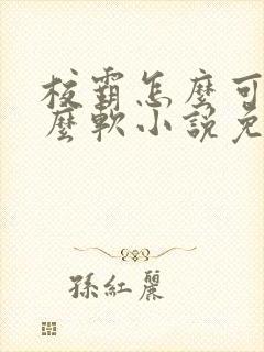 校霸怎么可以这么软小说免费阅读