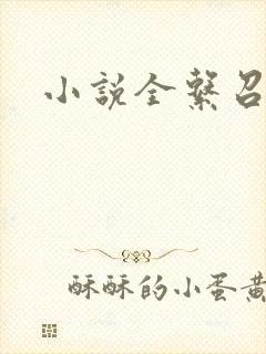 小说全系召唤师