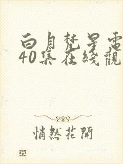 白月梵星电视剧40集在线观看