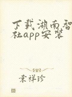 下载湖南智慧人社app安装