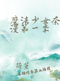 魔法少女奈叶动漫第一季