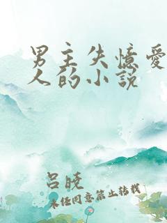 男主失忆爱上别人的小说