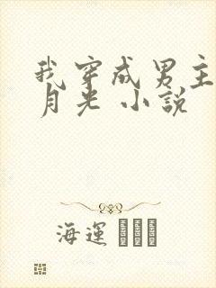 我穿成男主的白月光 小说