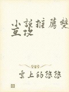 小说推荐双男主互攻