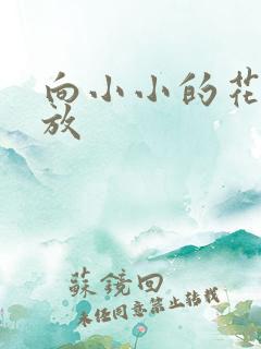 向小小的花蕾绽放