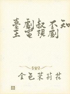 台剧叔不知双男主电视剧