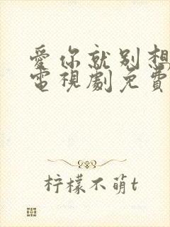 爱你就别想太多电视剧免费观看全集