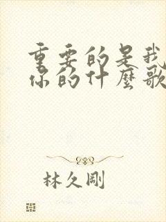 重要的是我会爱你的什么歌