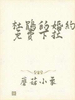 杜鹃的婚约漫画免费下拉