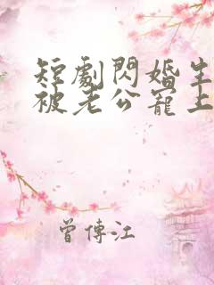 短剧闪婚生子后被老公宠上天