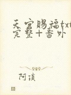 天官赐福txt完整+番外 txt下载