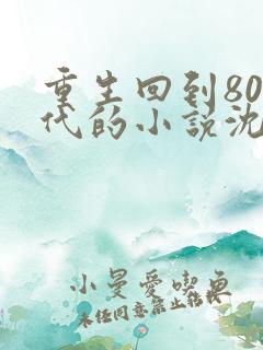 重生回到80年代的小说沈林