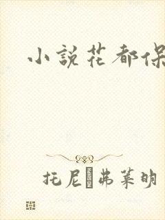 小说花都保镖